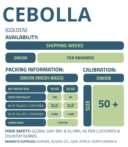 CEBOLLA-ENFRABCN-EXPORT-2