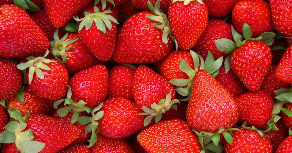 FRESAS-ENFRABCN-EXPORT-1
