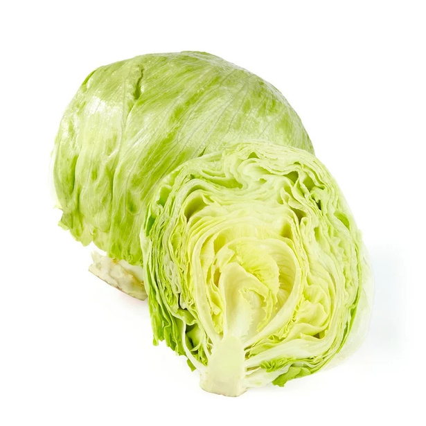 LECHUGA-ENFRABCN-EXPORT