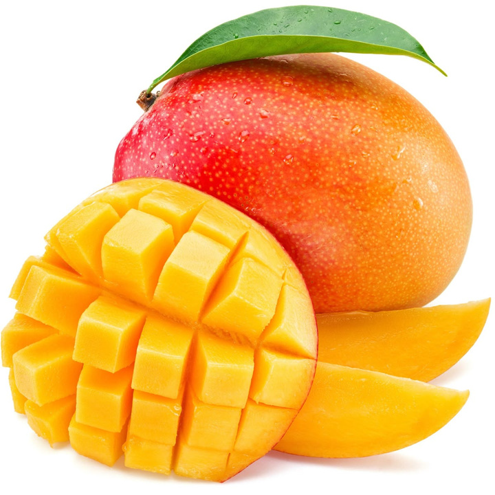 MANGO-ENFRABCN-EXPORT-