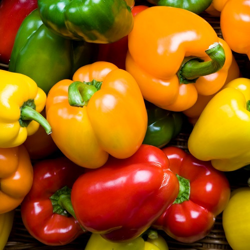 PIMIENTO-ROJO-ENFRABCN-EXPORT-